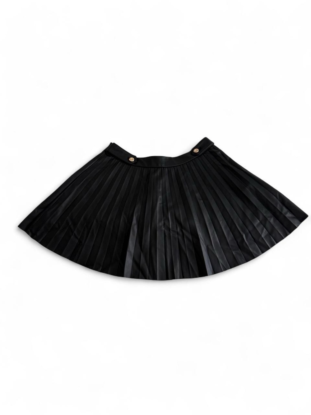 Zara Black Pleated Mini Skirt